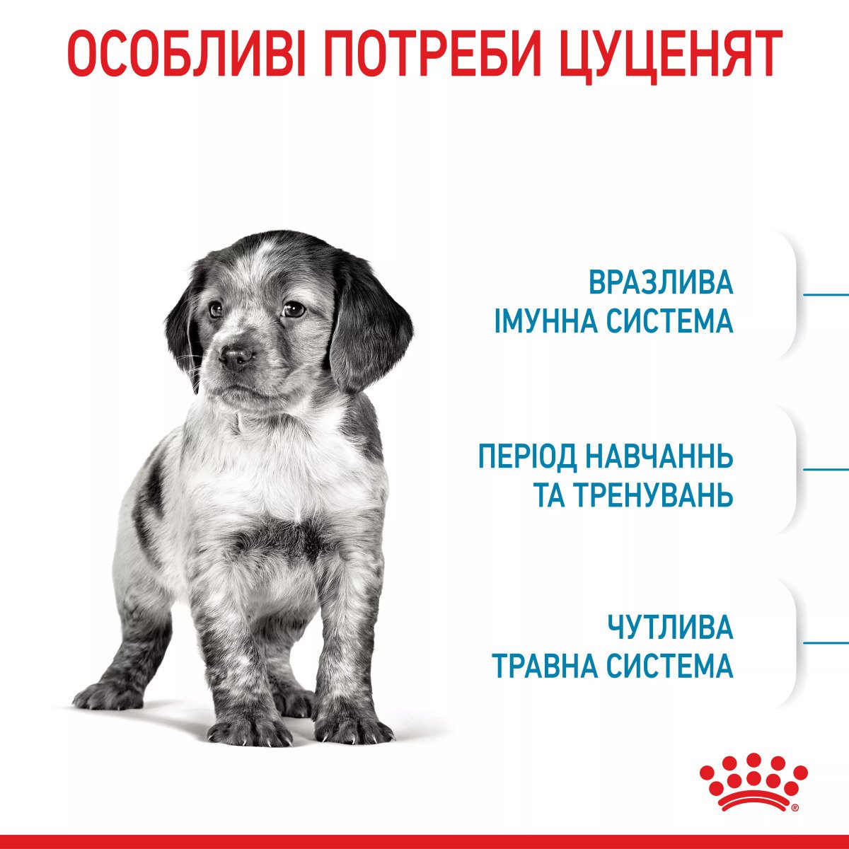 Сухий корм для цуценят середніх порід Royal Canin Medium Puppy, 4 кг