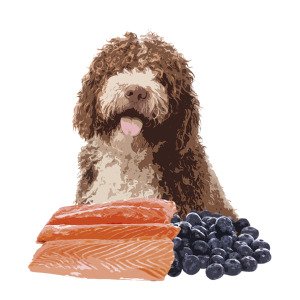 Orygo Salmon 3,6 kg box/Н/в корм д/дорослих собак Оріго Салмон 3,6 Кг (18х200г)