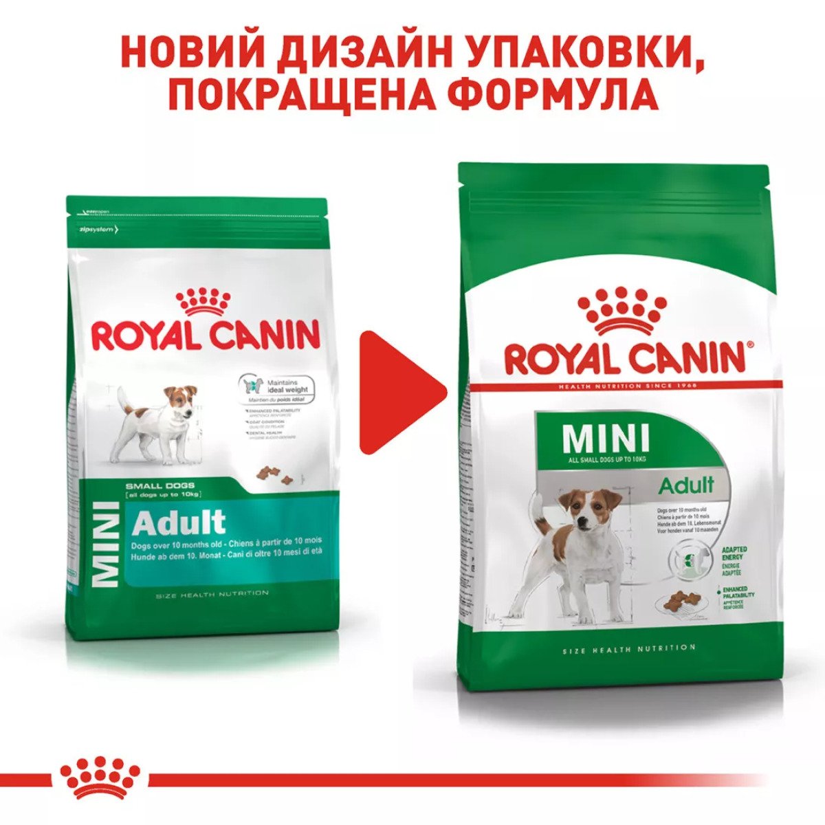 Сухий корм для собак малих порід Royal Canin Mini Adult, 2 кг