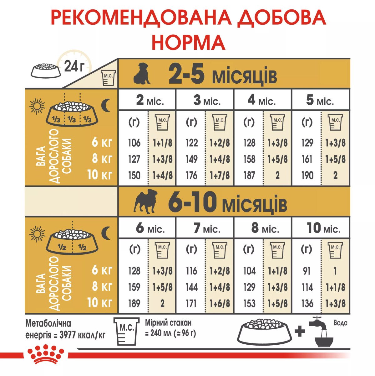 Сухий корм для цуценят мініатюрних порід Royal Canin Pug Puppy, 1.5 кг