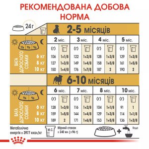 Сухий корм для цуценят мініатюрних порід Royal Canin Pug Puppy, 1.5 кг
