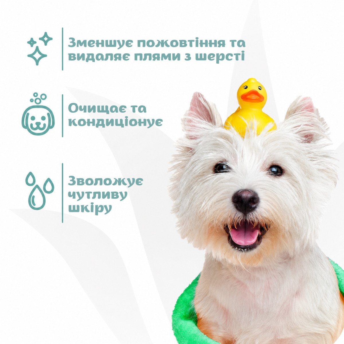 ESPREE Bright White Dog Shampoo&Conditioner 2in1 3,79 л