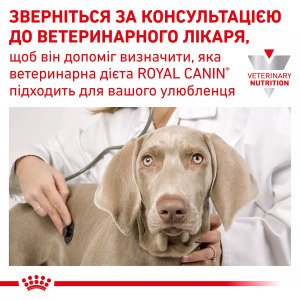 Вологий корм для котів Royal Canin Recovery, 195 г
