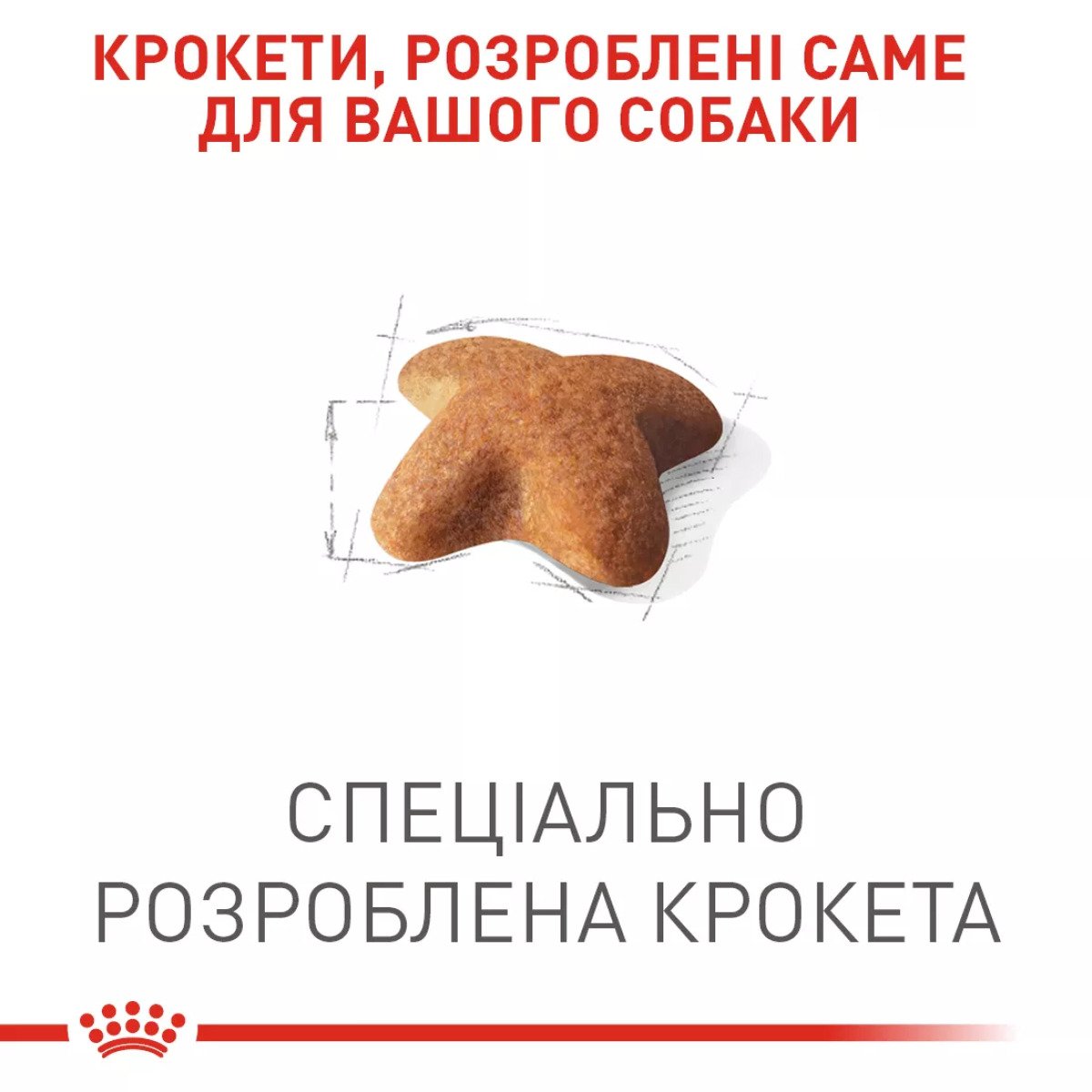 Сухий корм для собак середніх порід Royal Canin Beagle Adult, 3 кг