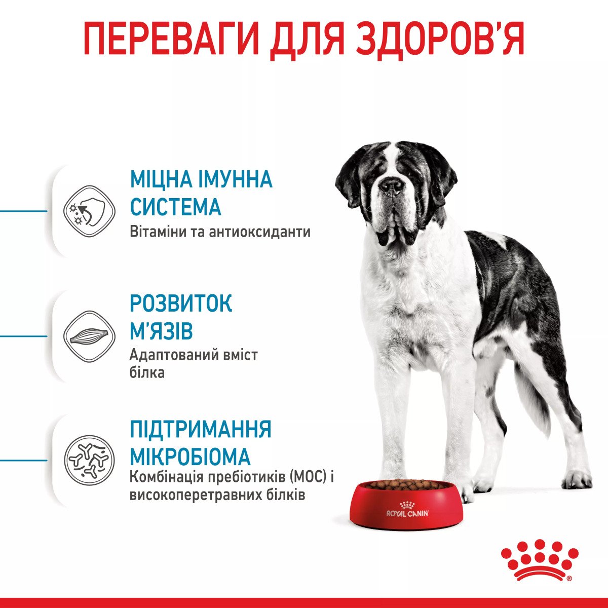 Сухий корм для цуценят великих порід Royal Canin Giant Junior, 15 кг