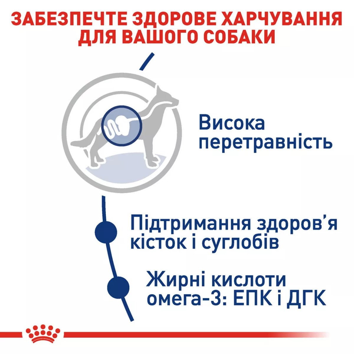Сухий корм для собак великих порід Royal Canin Maxi Adult, 4 кг