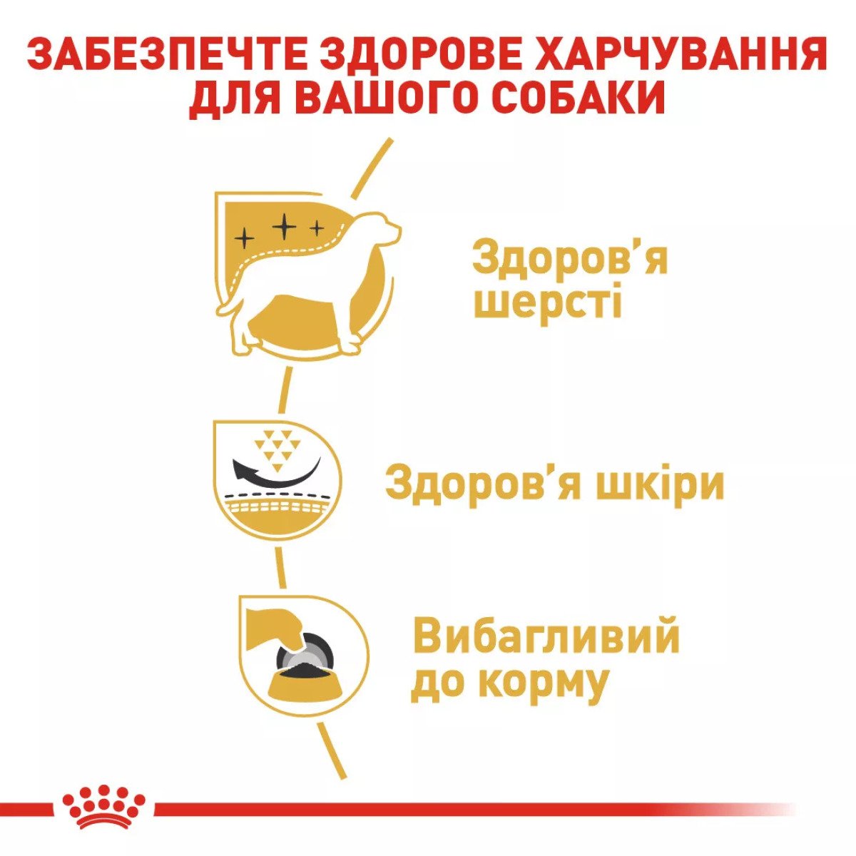 Сухий корм для собак Royal Canin West Highland White Terrier Adult, 3 кг