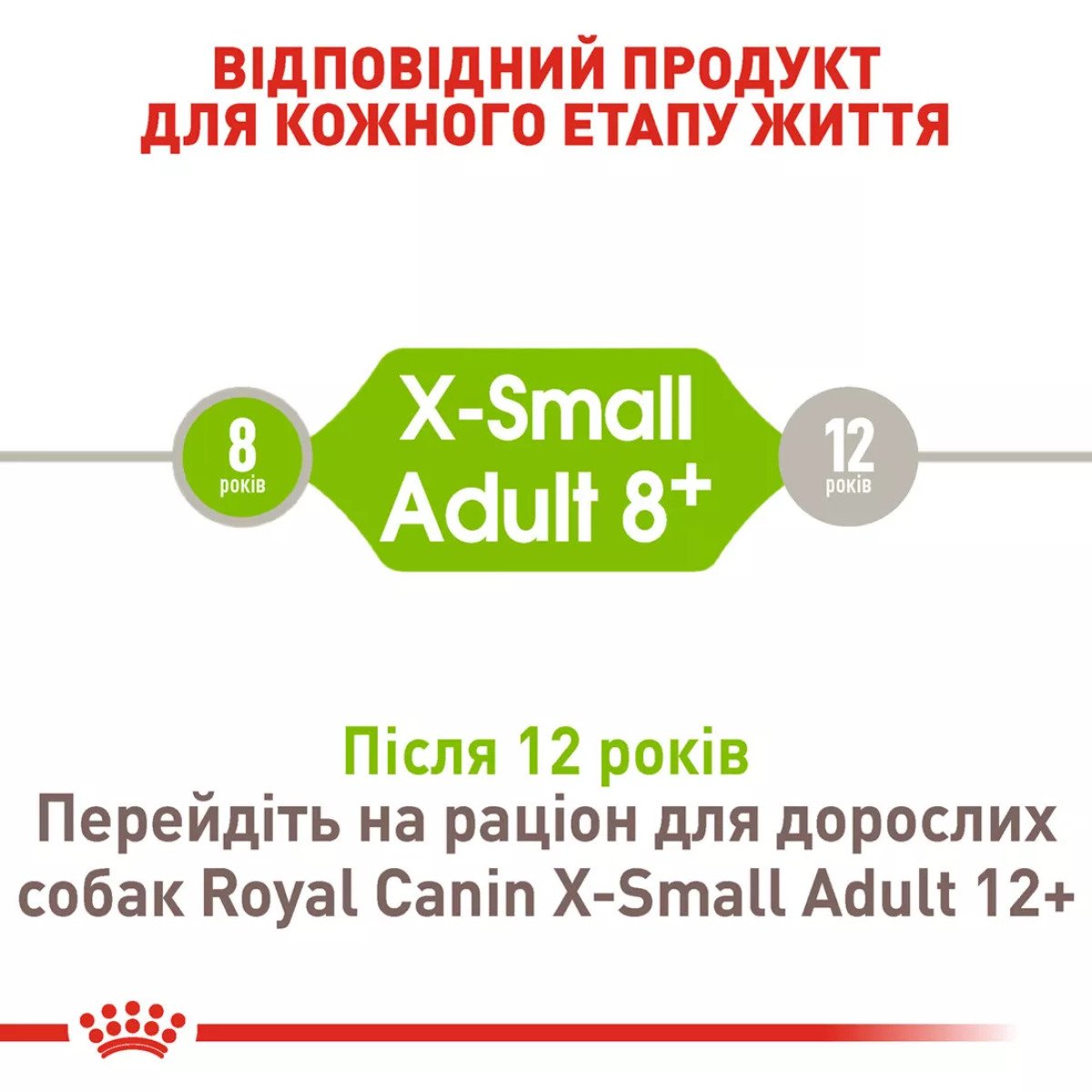 Сухий корм для собак малих порід Royal Canin Xsmall Adult 8+, 3 кг