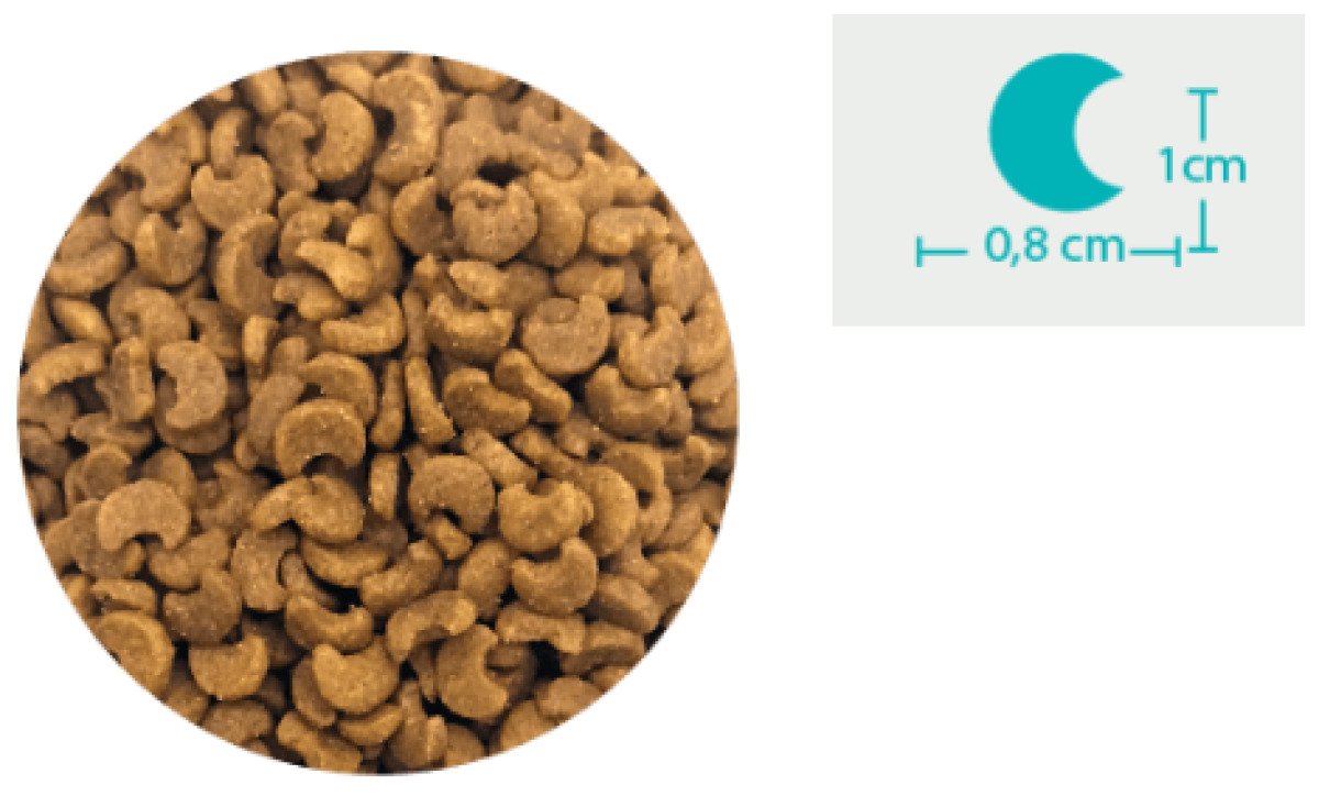 BonaCibo Adult Cat Sterilised Salmon 15 kg
