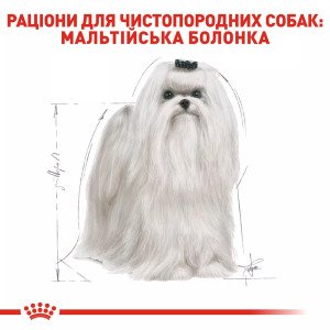 Сухий корм для собак малих порід Royal Canin Maltese Adult, 500 г