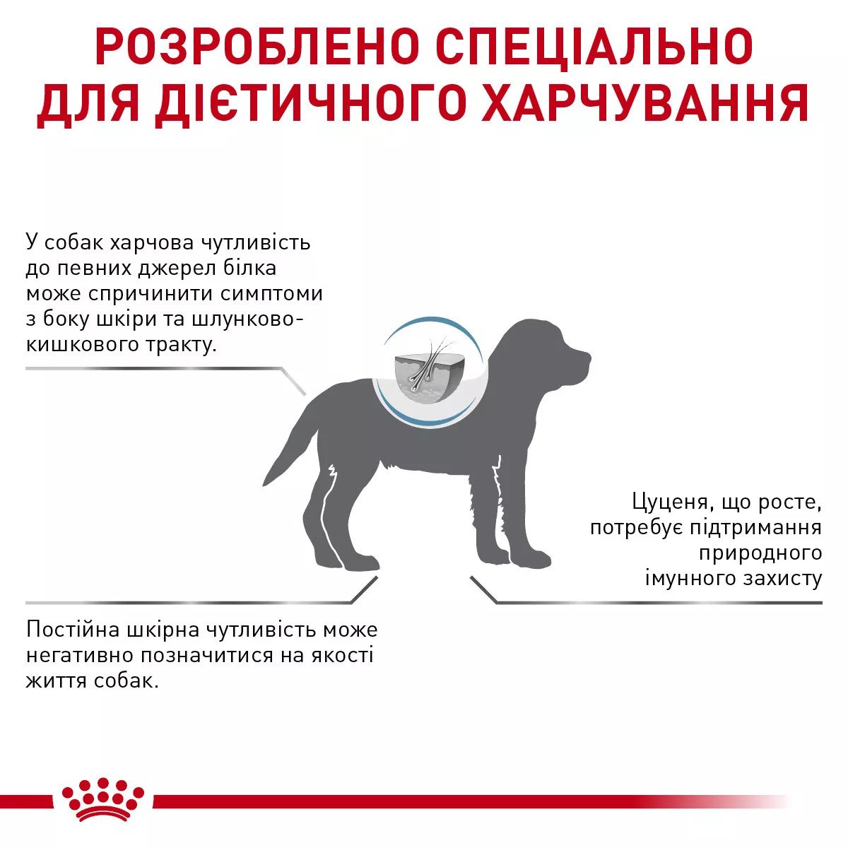 Сухий корм для цуценят Royal Canin Hypoallergenic Puppy, 3.5 кг