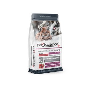 ProScience Kitten Lamb 1,5 kg