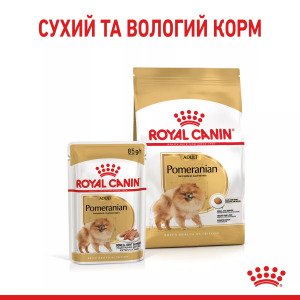 Вологий корм для собак малих порід Royal Canin Pomeranian Adult Loaf, 85 г