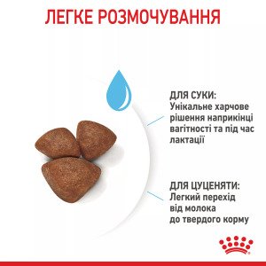 Сухий корм для цуценят мініатюрних порід Royal Canin Mini Starter, 1 кг