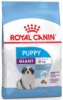 Сухий корм для цуценят великих порід Royal Canin Giant Puppy, 1 кг