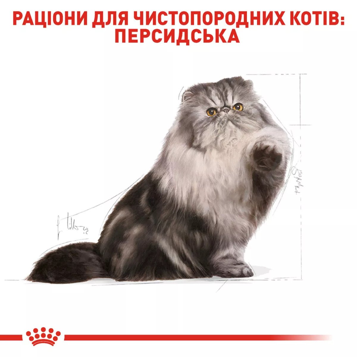 Сухий корм для котів Royal Canin Persian Adult, 2 кг