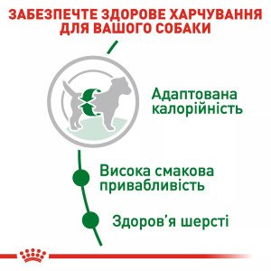Сухий корм для собак малих порід Royal Canin Mini Adult, 8 кг