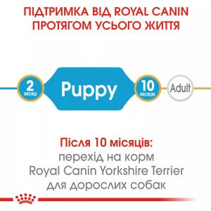 Сухий корм для цуценят мініатюрних порід Royal Canin Yorkshire Puppy, 500 г