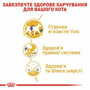 Сухий корм для котів Royal Canin Siamese Adult, 400 г