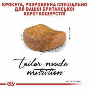 Сухий корм для котів Royal Canin British Shorthair Adult, 4 кг