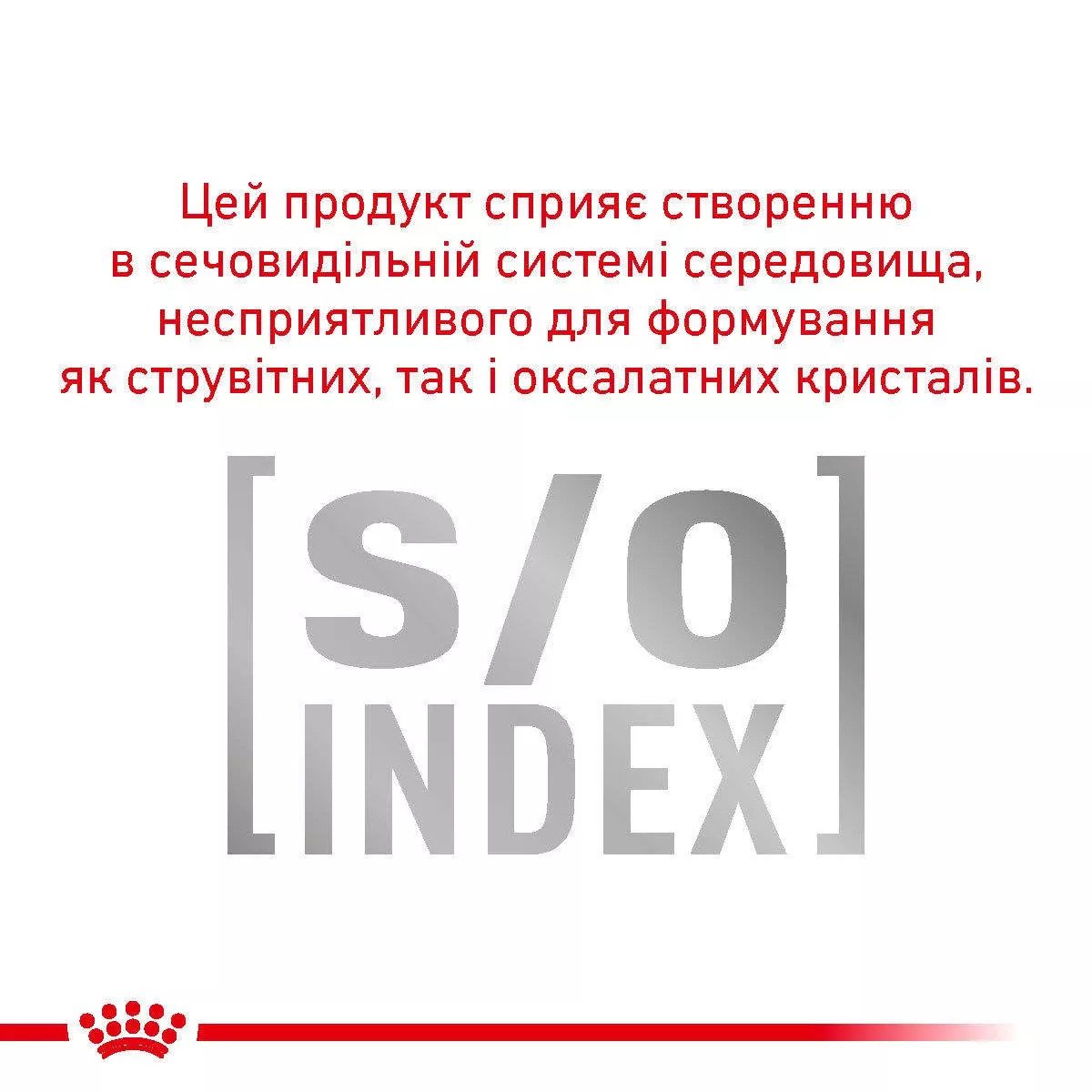 Сухий корм для котів Royal Canin Skin And Coat Cat, 400 г