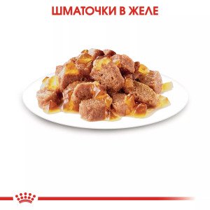 Вологий корм для стерилізованих котів Royal Canin Sterilised in Jelly, 85 г