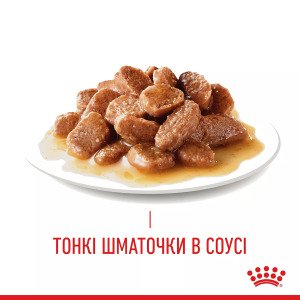 Вологий корм для котів Royal Canin HAIR & SKIN CARE в Соусі, 85 г
