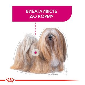 Сухий корм для собак малих порід Royal Canin Mini Exigent, 3 кг