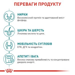 Сухий корм для стерилізованих котів Royal Canin Ageing 11+ Sterilised, 2 кг