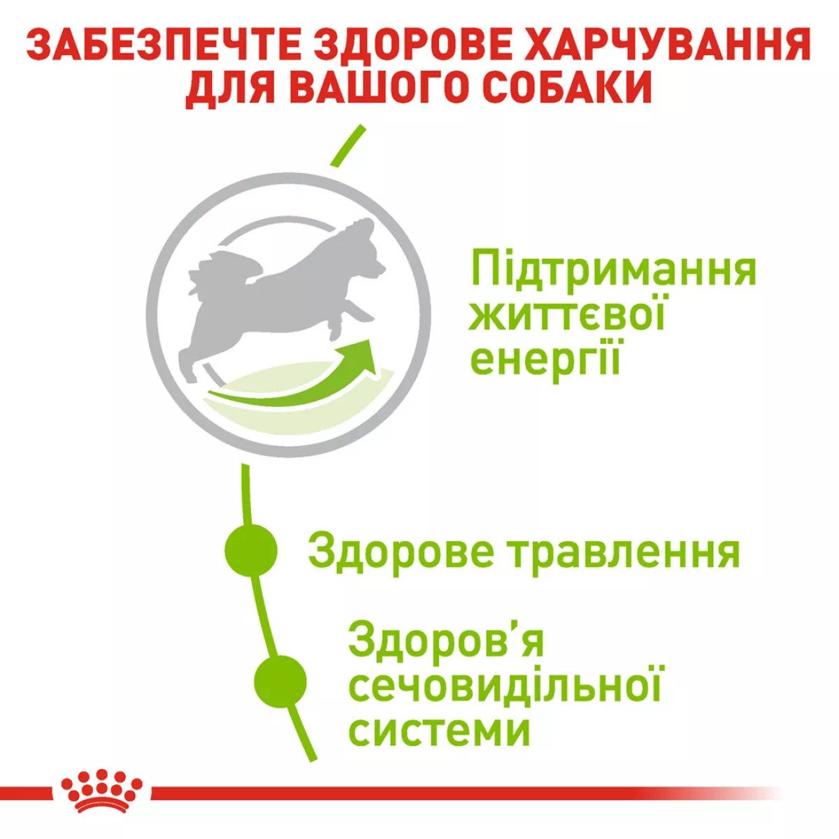 Сухий корм для собак малих порід Royal Canin Xsmall Adult 8+, 3 кг