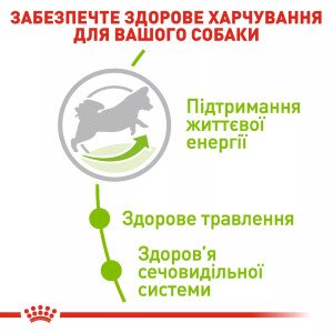 Сухий корм для собак малих порід Royal Canin Xsmall Adult 8+, 3 кг