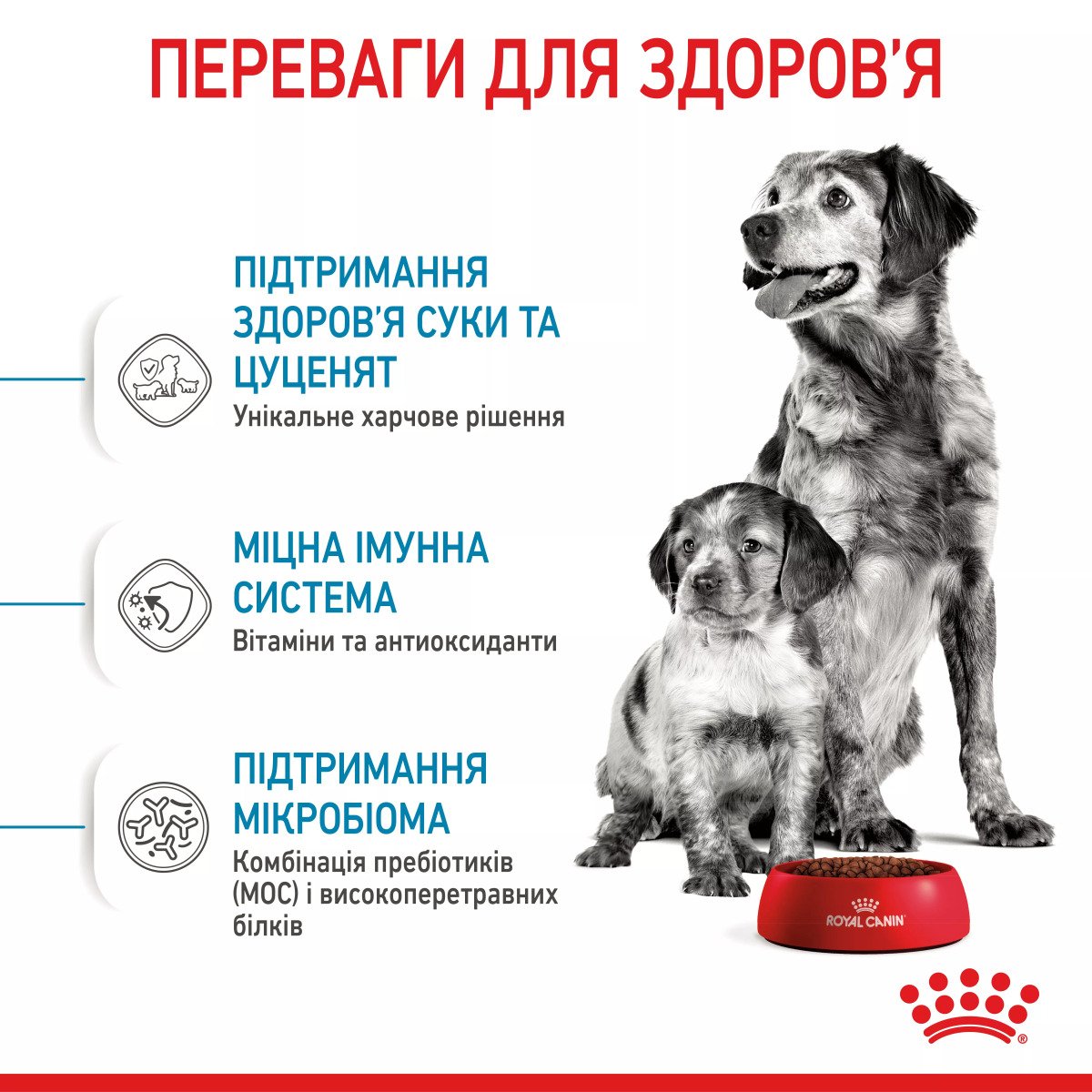 Сухий корм для цуценят середніх порід Royal Canin Medium Starter, 1 кг