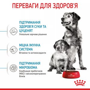 Сухий корм для цуценят середніх порід Royal Canin Medium Starter, 1 кг
