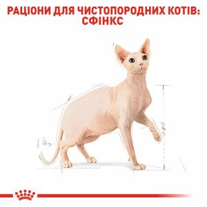 Сухий корм для котів Royal Canin Sphynx Adult, 10 кг