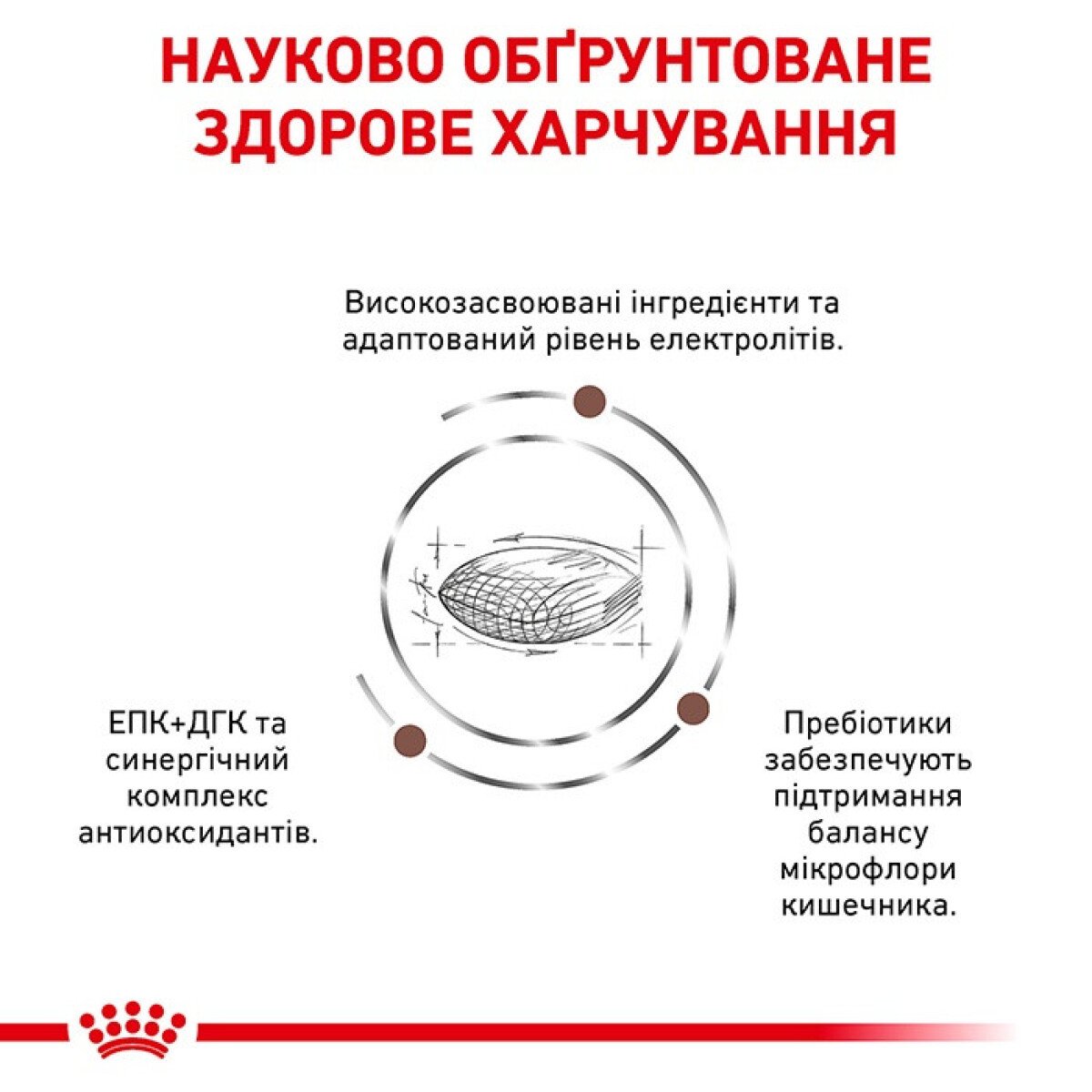 Сухий корм для собак малих порід Royal Canin Gastro Low Fat Small Dog3. дієта при розладах травлення, 3.5 кг