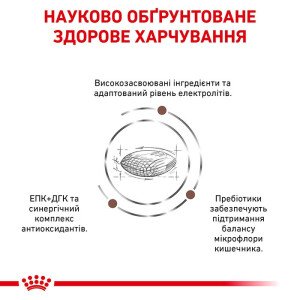 Сухий корм для собак малих порід Royal Canin Gastro Low Fat Small Dog3. дієта при розладах травлення, 3.5 кг