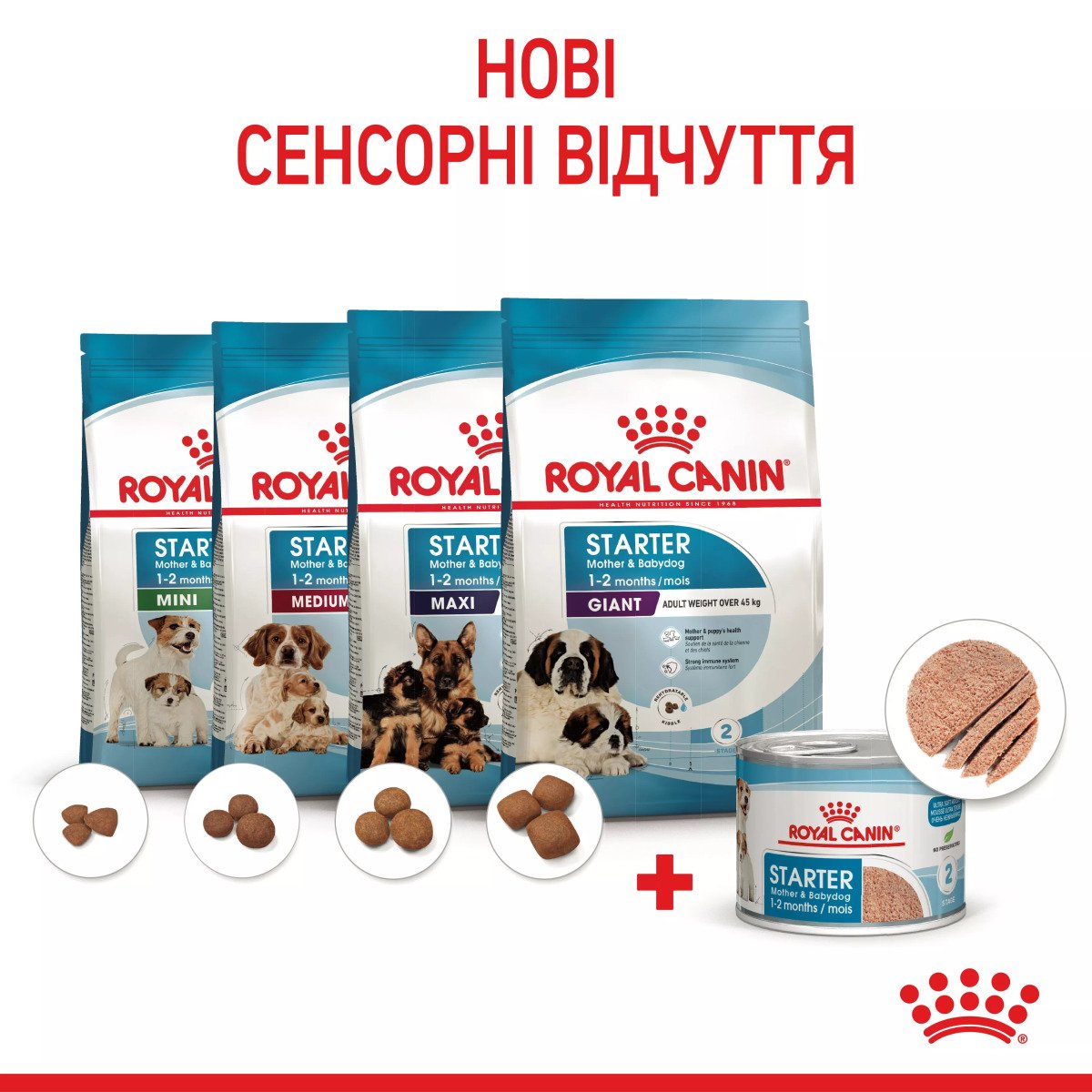 Вологий корм для цуценят Royal Canin Starter Mousse, 195 г