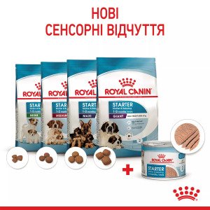 Вологий корм для цуценят Royal Canin Starter Mousse, 195 г