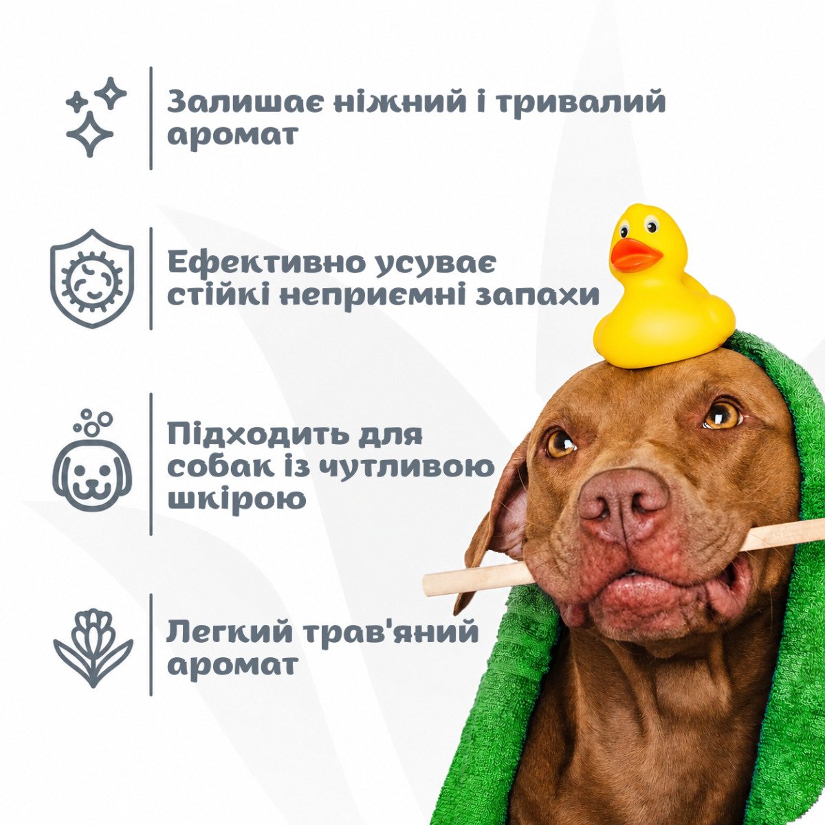 ESPREE Intense Charcoal Odor Neutralizer Tearless Dog Sh&Cond 2in1 3,79л