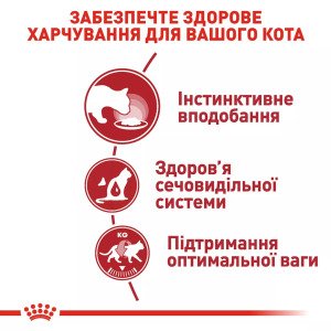 Вологий корм для котів Royal Canin Instinctive In Gravy, 85 г
