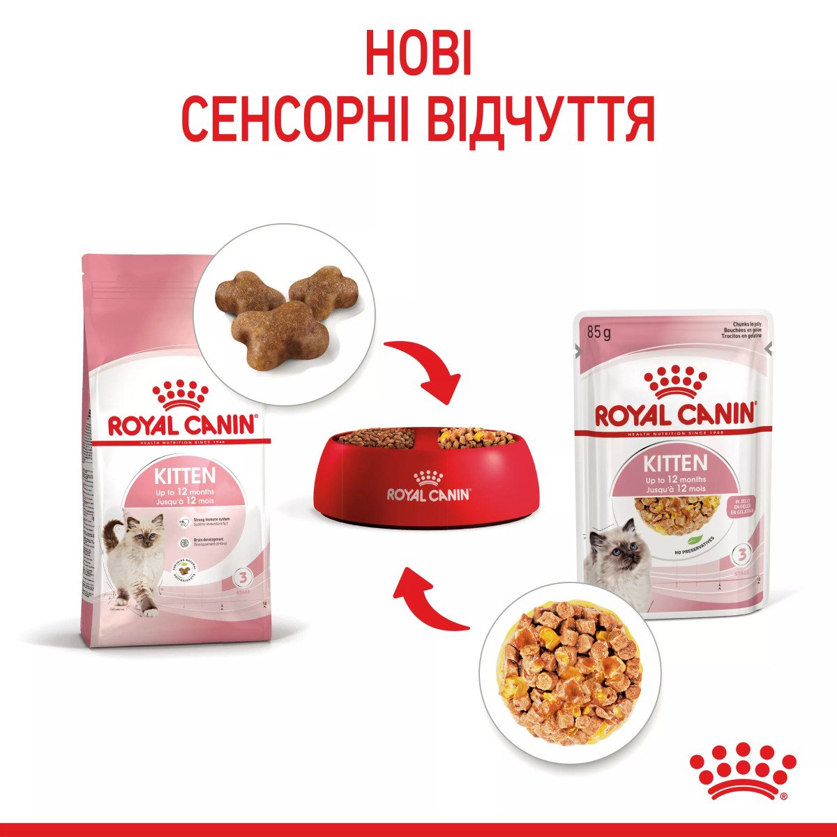 Вологий корм для кошенят Royal Canin Kitten Instinctive In Jelly, 85 г