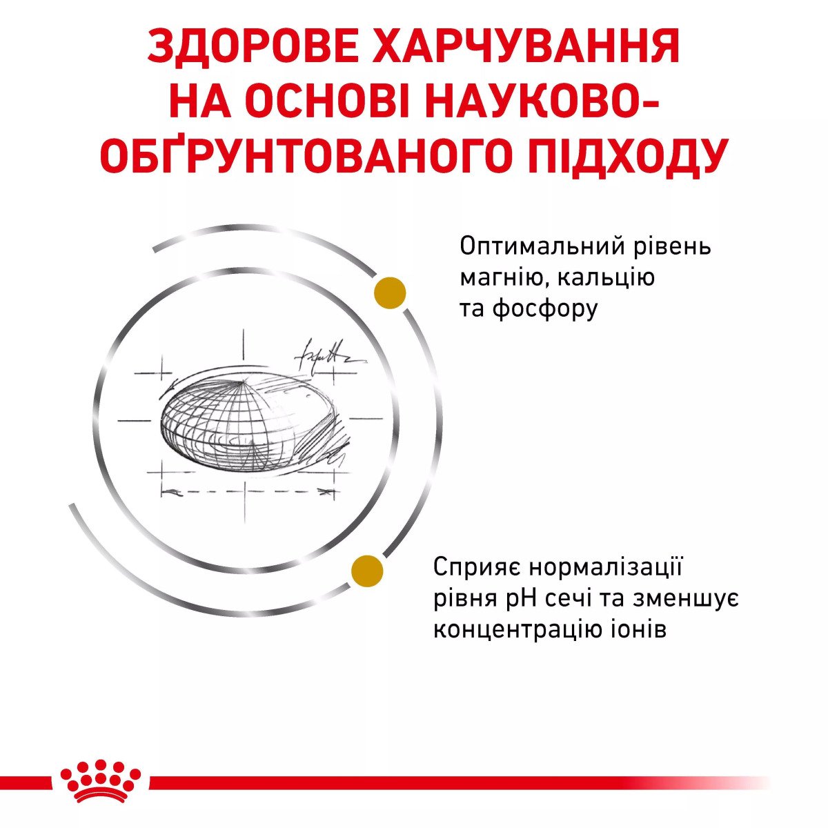 Сухий корм для котів Royal Canin Urinary S/O Cat, 9 кг