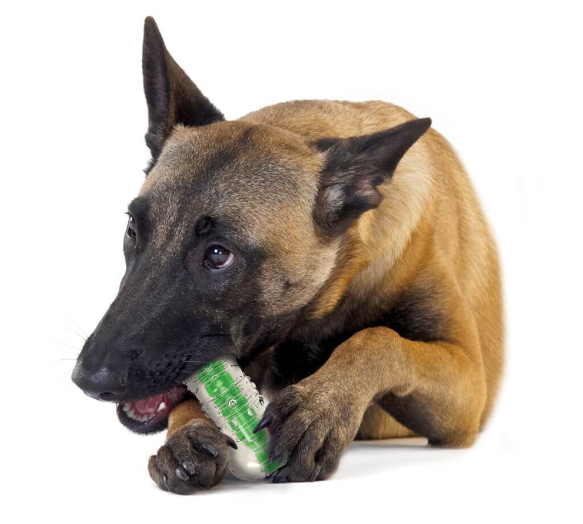 Іграшка д/собак Петстейджес Кранчкор Хрустка кістка проз.-зел. міні арт. pt263