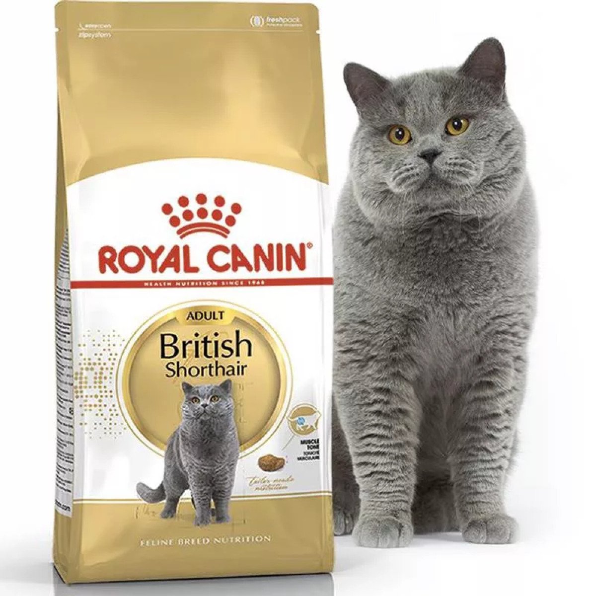Сухий корм для котів Royal Canin British Shorthair Adult, 10 кг
