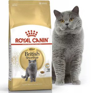 Сухий корм для котів Royal Canin British Shorthair Adult, 10 кг