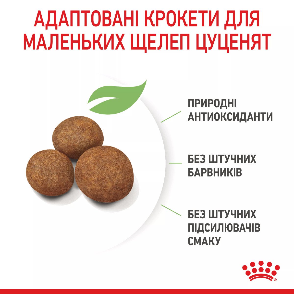 Сухий корм для цуценят великих порід Royal Canin Maxi Puppy, 4 кг