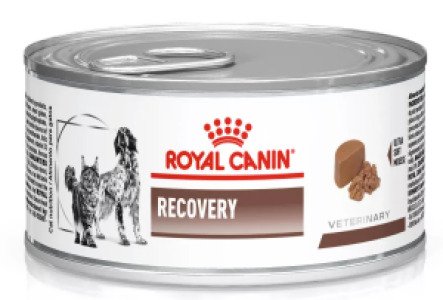 Вологий корм для котів Royal Canin Recovery, 195 г