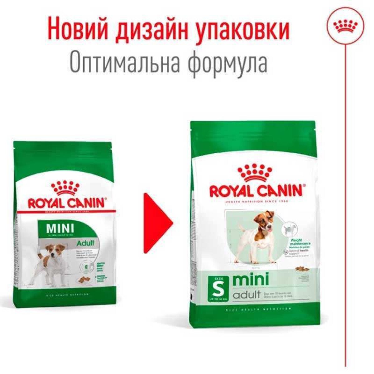 Сухий корм для собак малих порід Royal Canin Mini Adult, 4 кг
