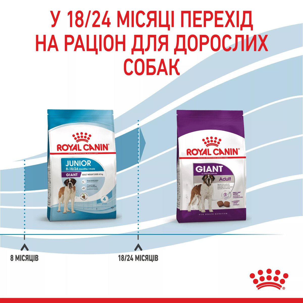 Сухий корм для цуценят великих порід Royal Canin Giant Junior, 15 кг