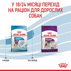 Сухий корм для цуценят великих порід Royal Canin Giant Junior, 15 кг